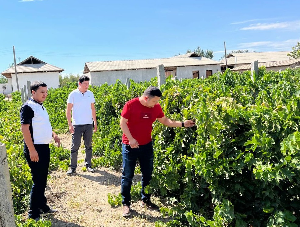 1-photo_2022-08-02_17-40-37