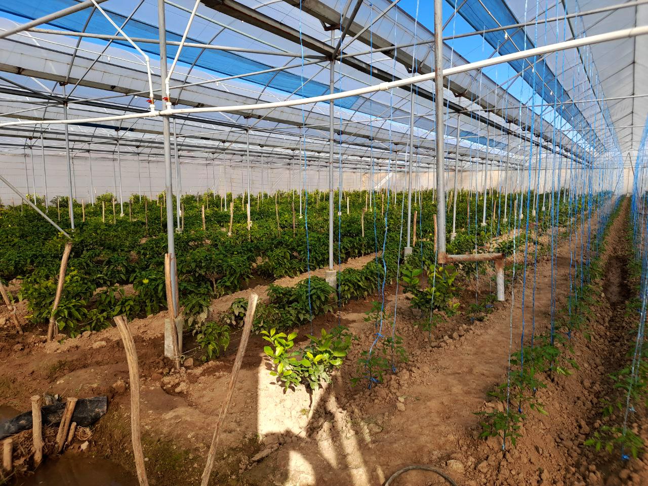 2-photo_2022-03-04_14-45-33