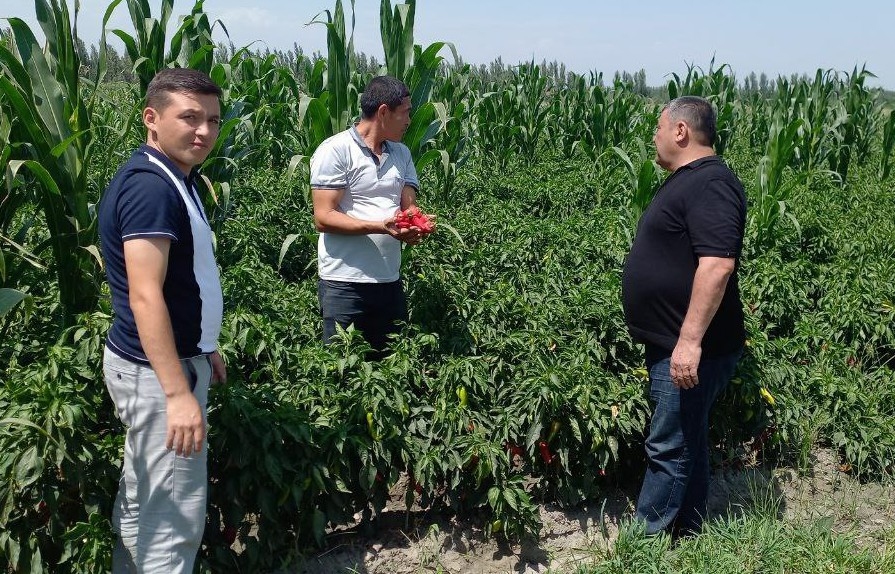 2-photo_2022-10-12_09-54-20