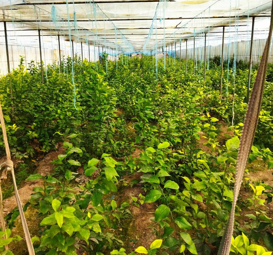 4-photo_2022-02-17_16-58-28