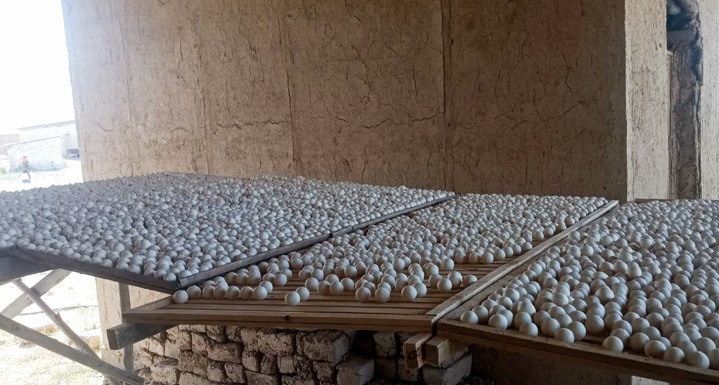 5-photo_2022-09-16_11-42-34