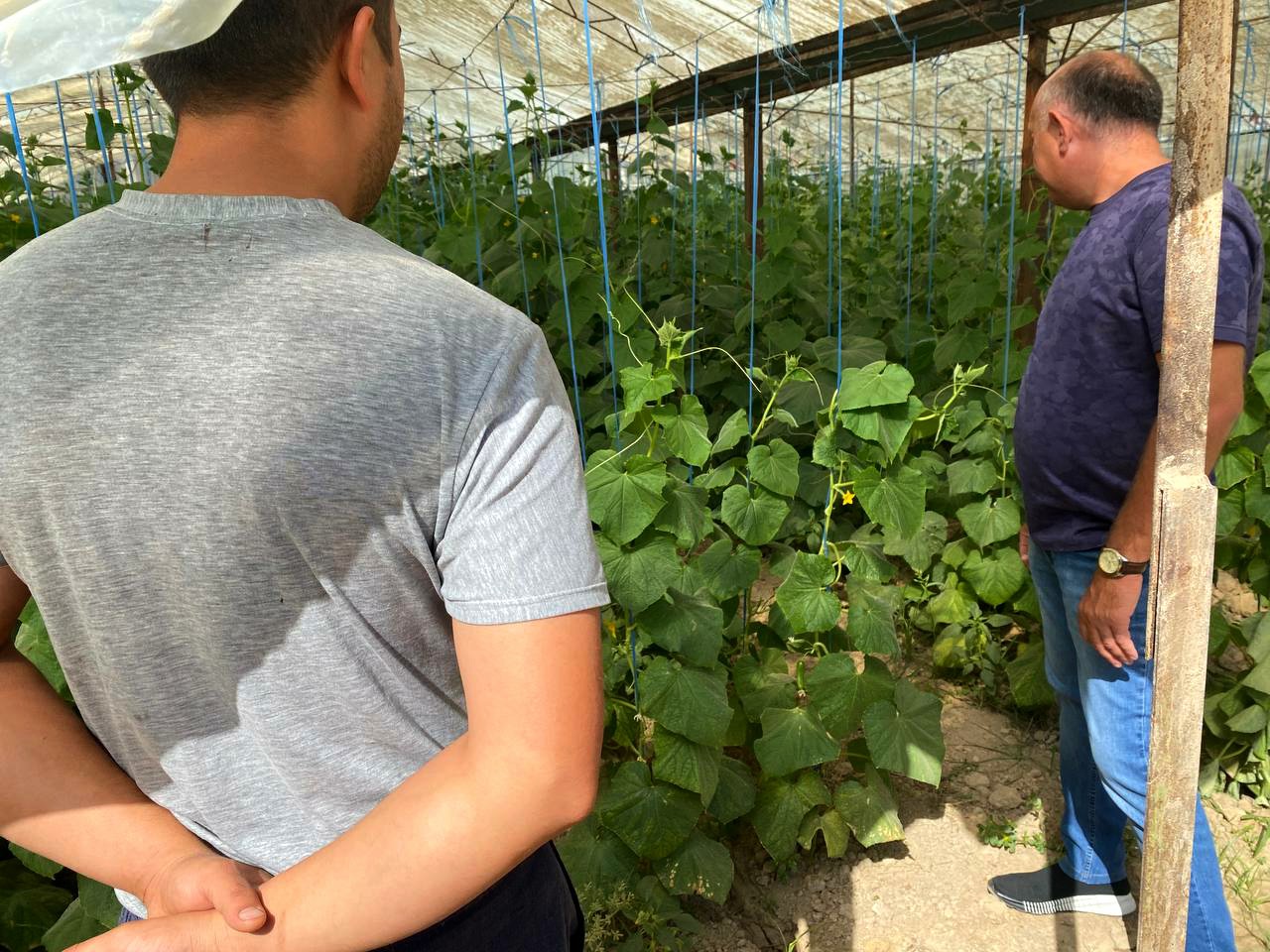 5-photo_2022-09-26_17-03-42