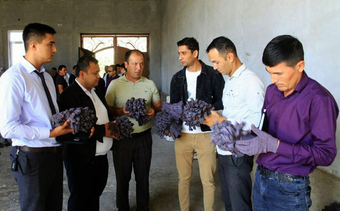 5-photo_2022-10-03_12-14-53