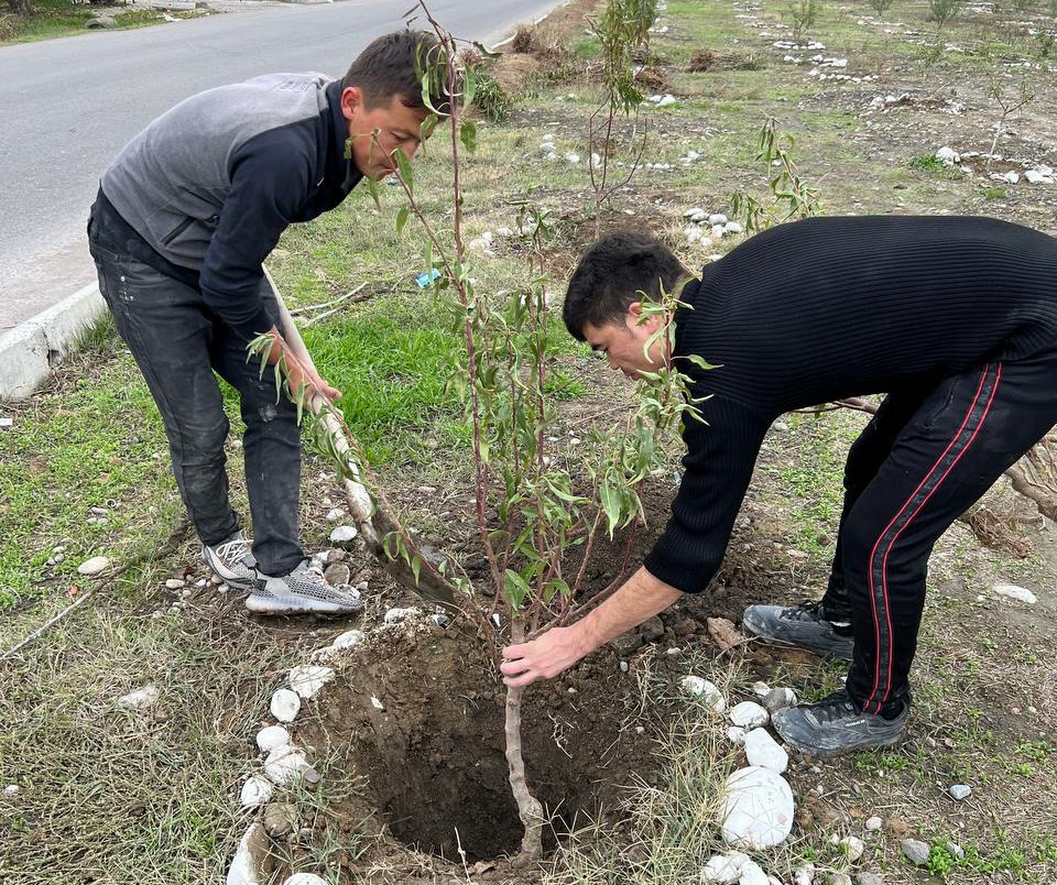 5-photo_2022-11-15_08-49-55