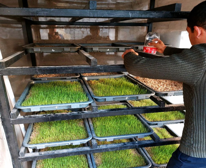 7-photo_2022-09-08_06-32-25