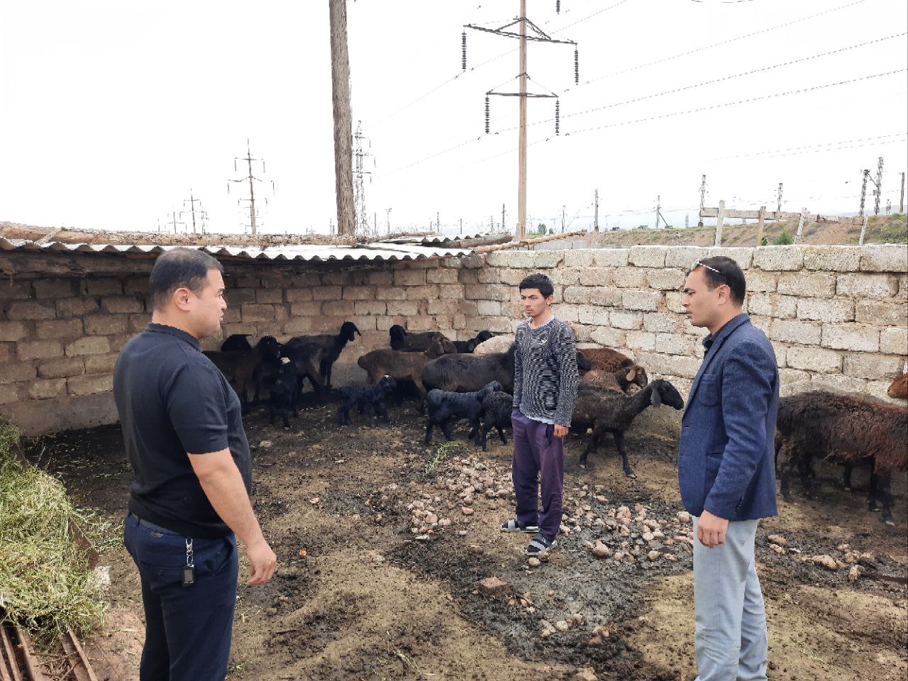 9-photo_2022-10-05_10-43-20