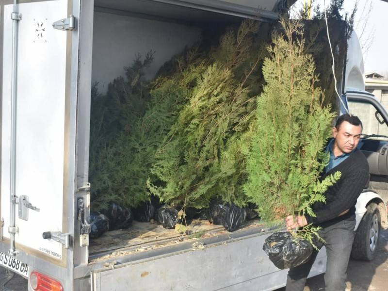 yashilmakon_ichi2_25112021