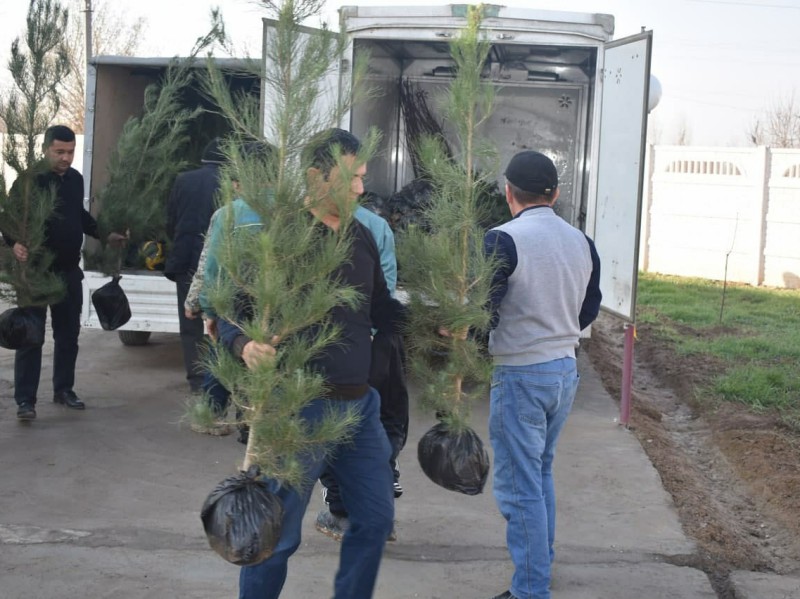 yashilmakon_ichi3_25112021