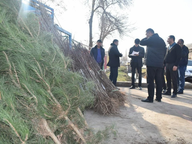 yashilmakon_ichi4_25112021