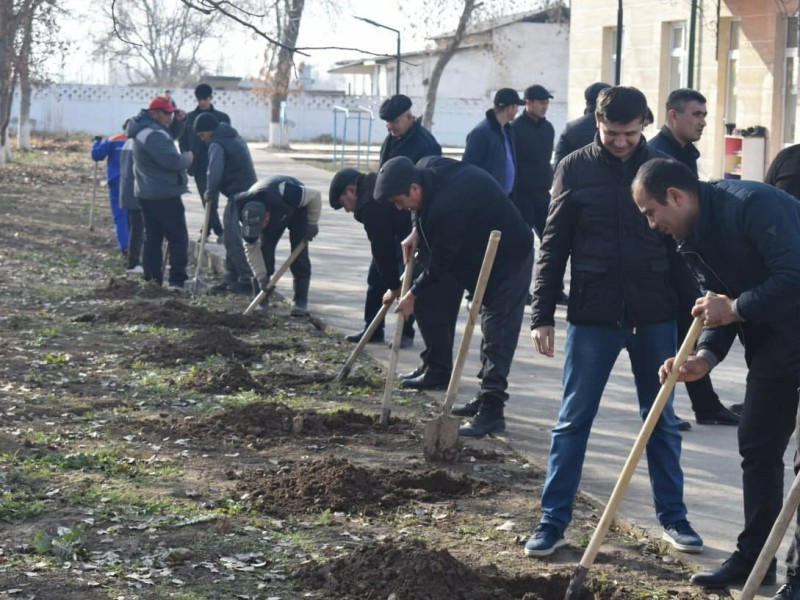 yashilmakon_ichi7_25112021