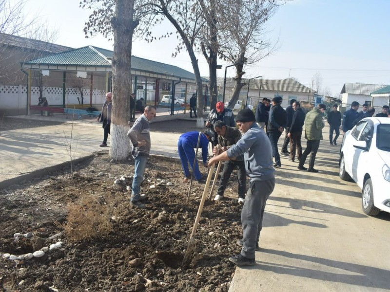 yashilmakon_ichi8_25112021