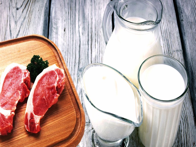 01_04_2022222-ichiiiiiiiiiiiiiiiiiiga