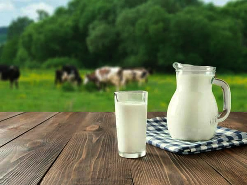 04_04_202222-ichigaaaaaaa