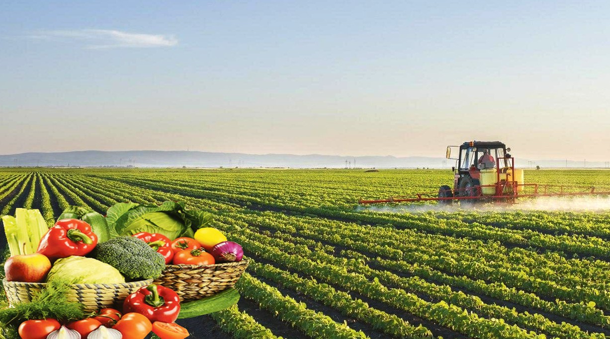 14001001705726175-c941de927d