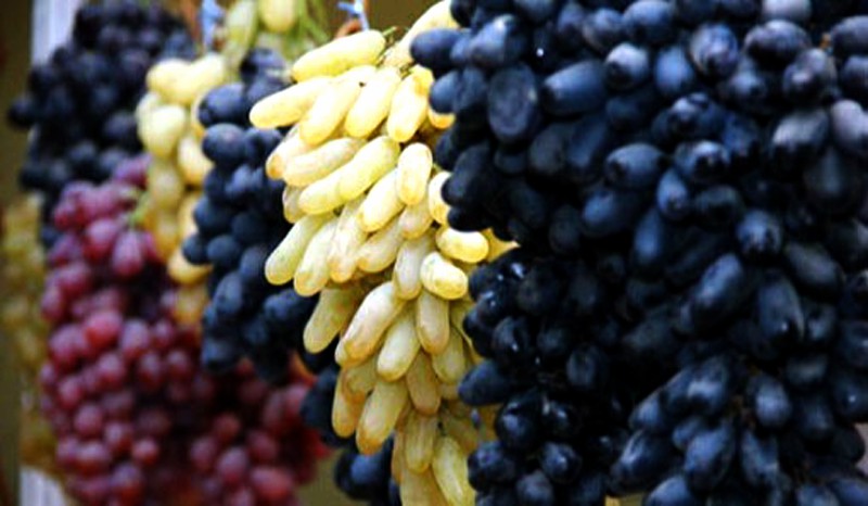 a71715475e280defc5fc160a3d2d9c5a