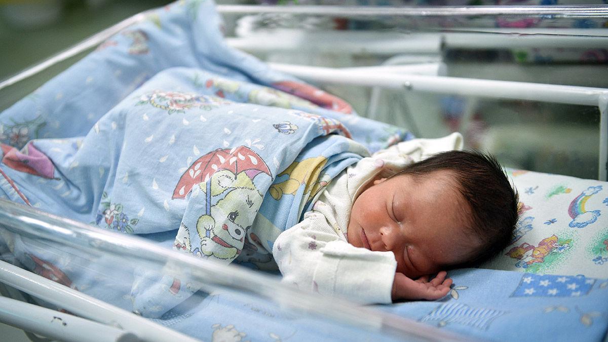 1-kmo_162793_00037_1