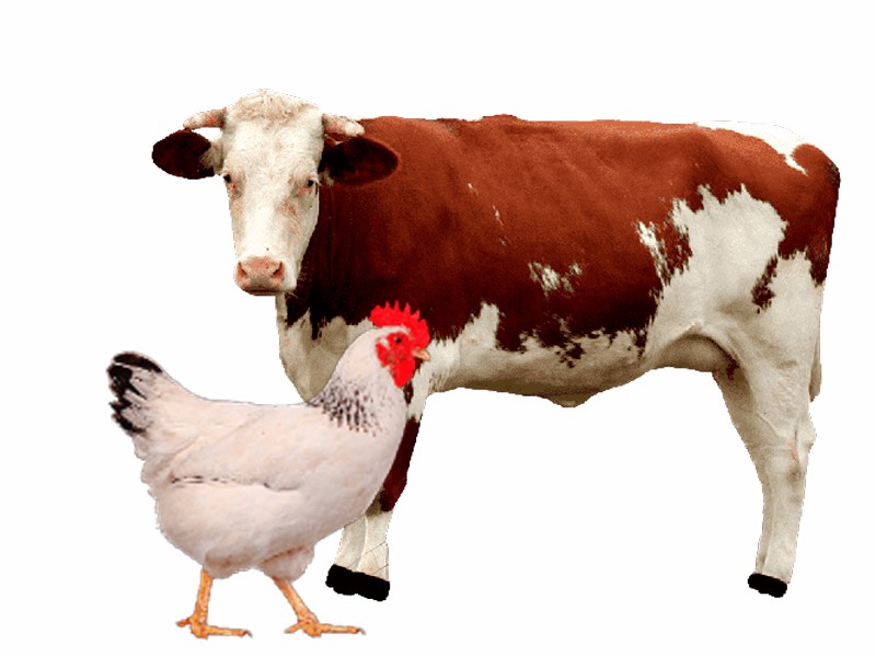 10_03_20222711414444-ichiiiiii