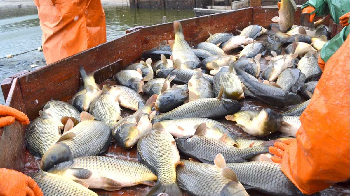 d62606dca7098974d437423213d5e6a3