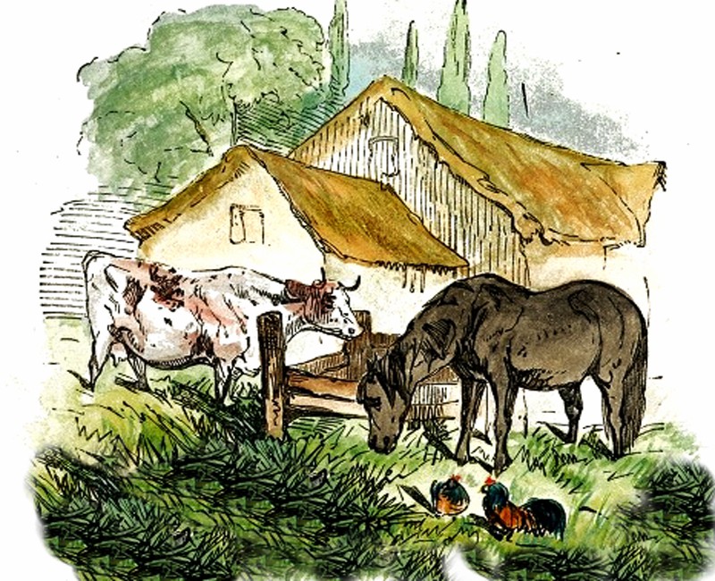 farmyard_drawing