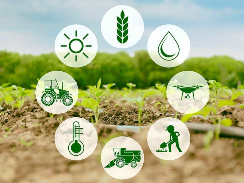 photo_2021-09-10_16-32-53