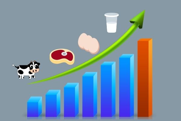 photo_2022-12-30_17-30-35