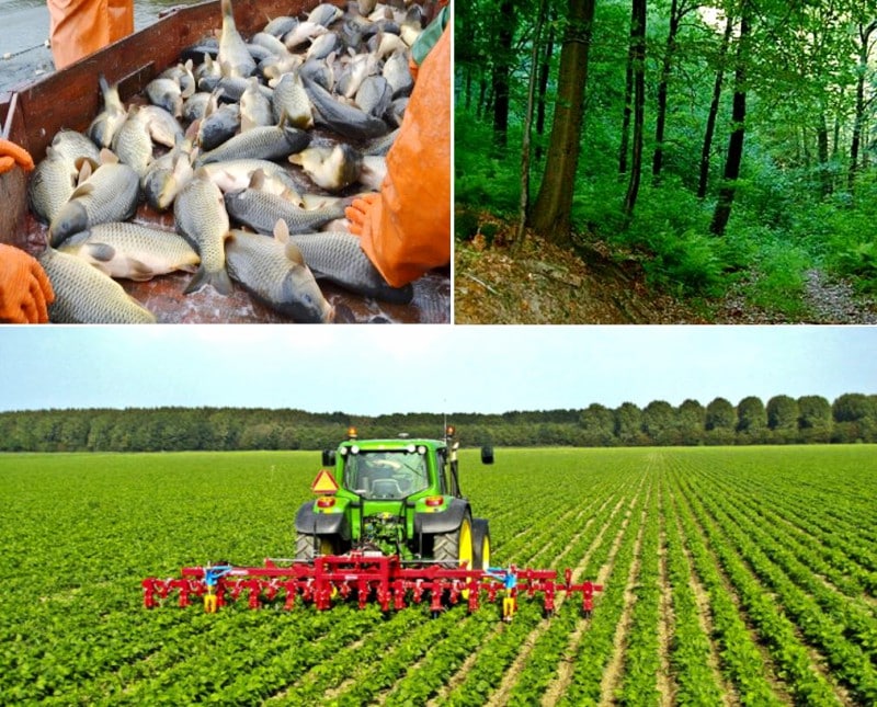 photo_2023-01-08_11-14-58