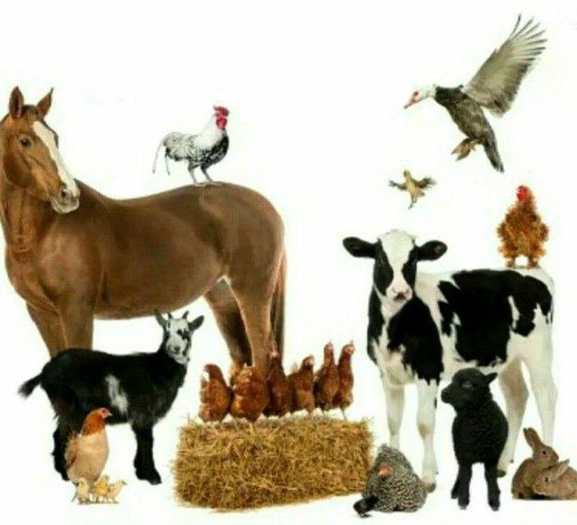 photo_2023-04-04_14-48-47