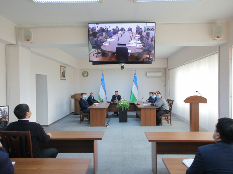 disertasiya080220224