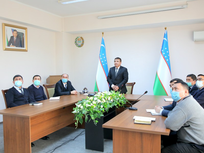 disertasiya080220228