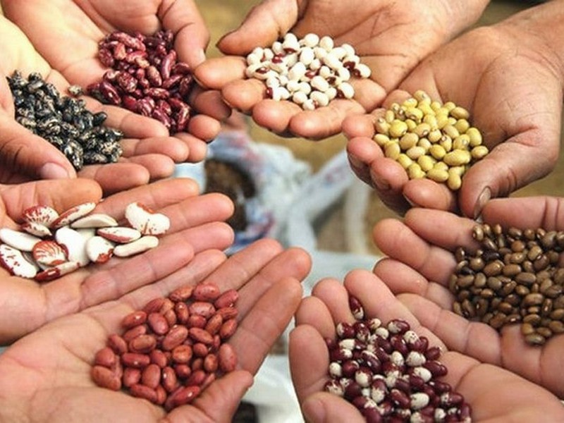 don888_08_11_21_ichi