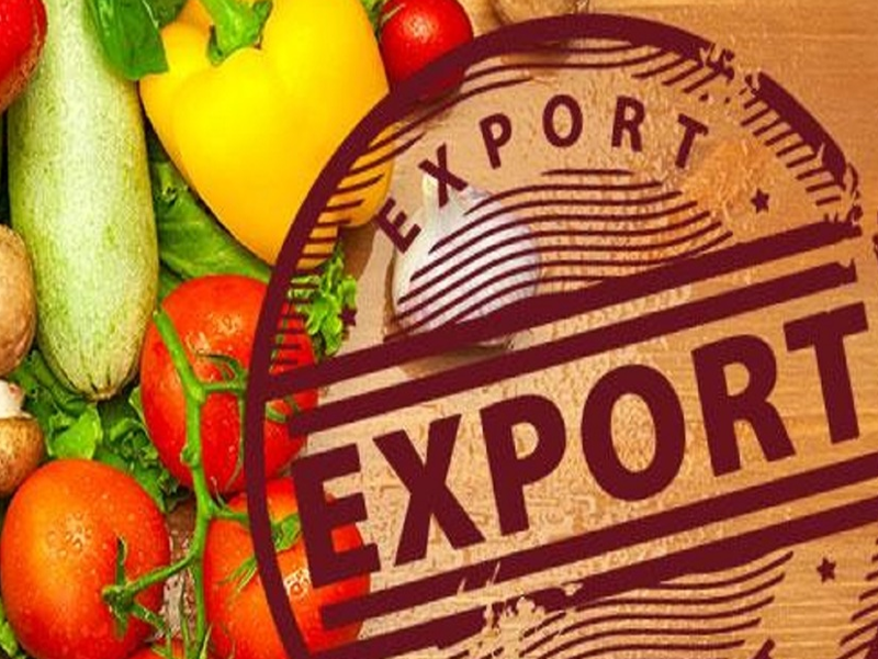 export-15_12_2021-ichi