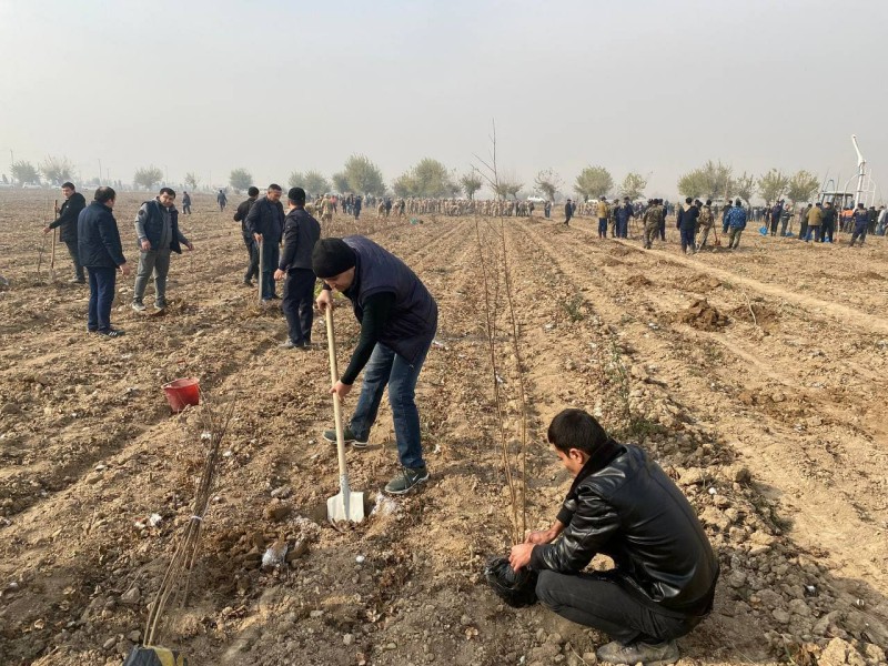 fototo_15_11_21_ichi7