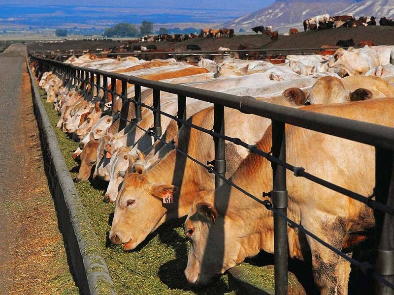 ggnioykh_22_12_22_usti