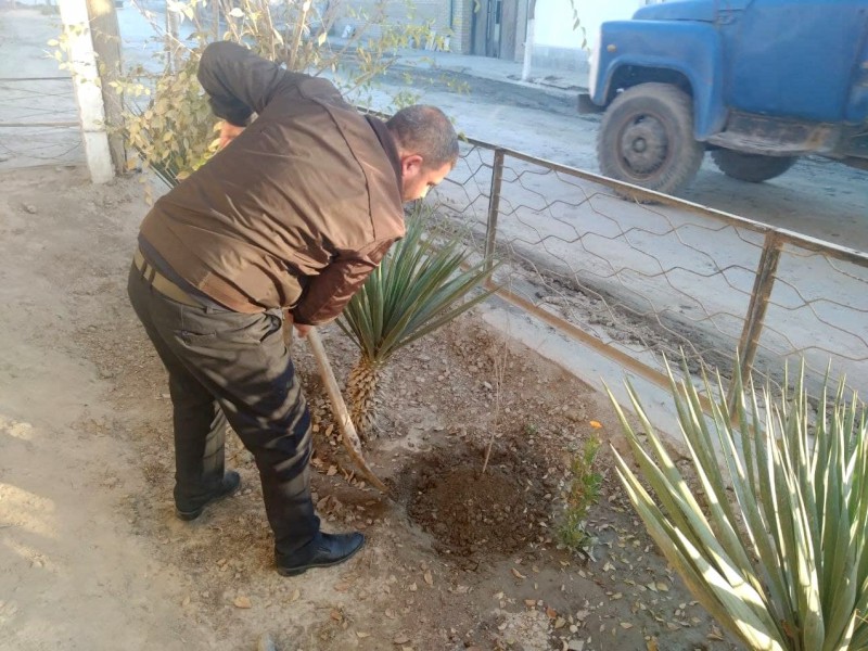 ich2_makon_12_11_2021