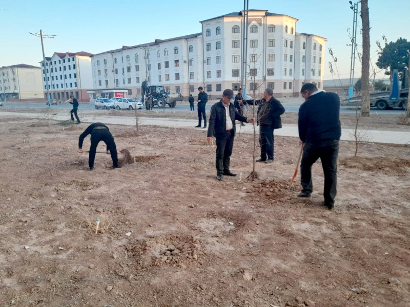 ich3_makon_12_11_2021