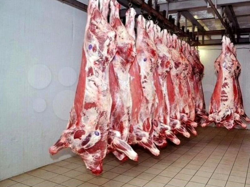 ichi-160522-qishloqxojali2