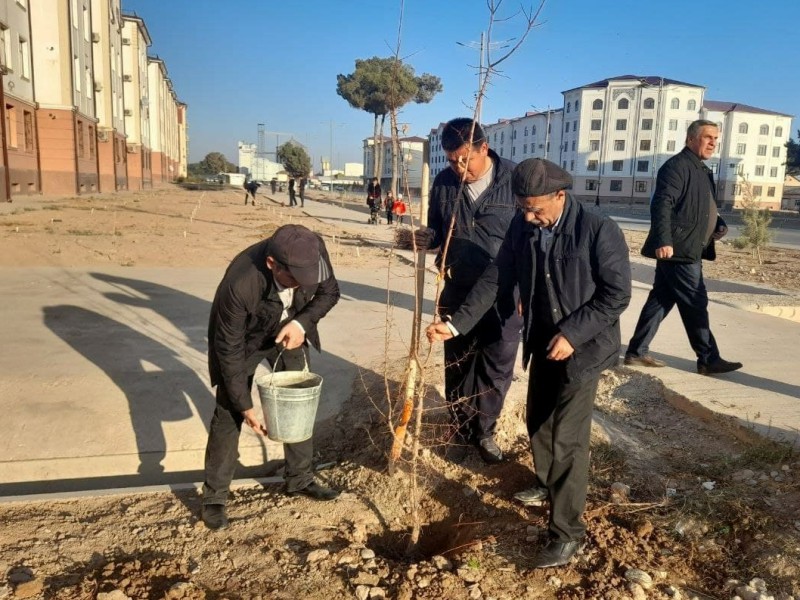 makonn_30_11_21_ichi3