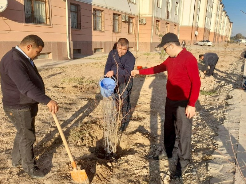 makonn_30_11_21_ichi4