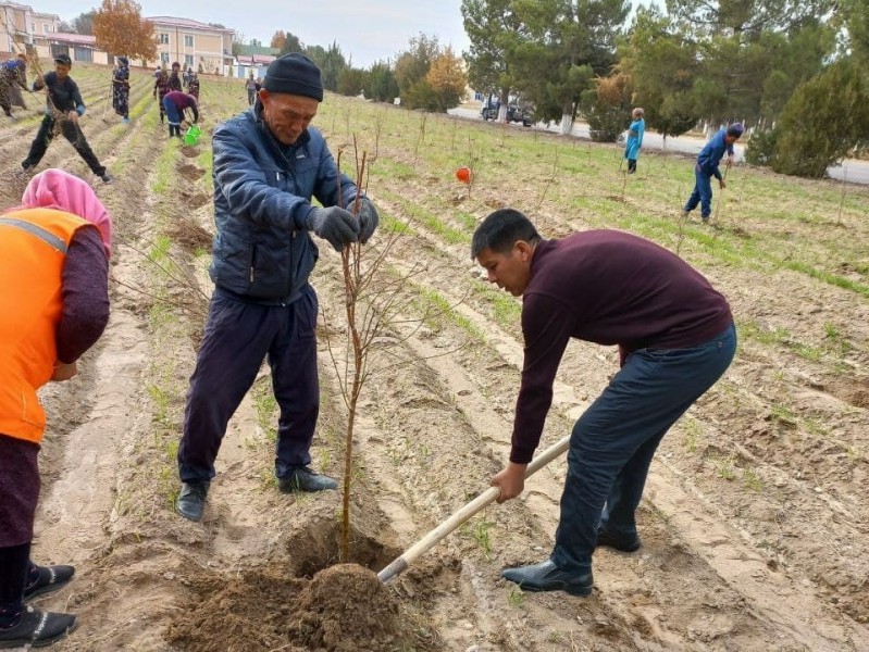 makonn_30_11_21_ichi5