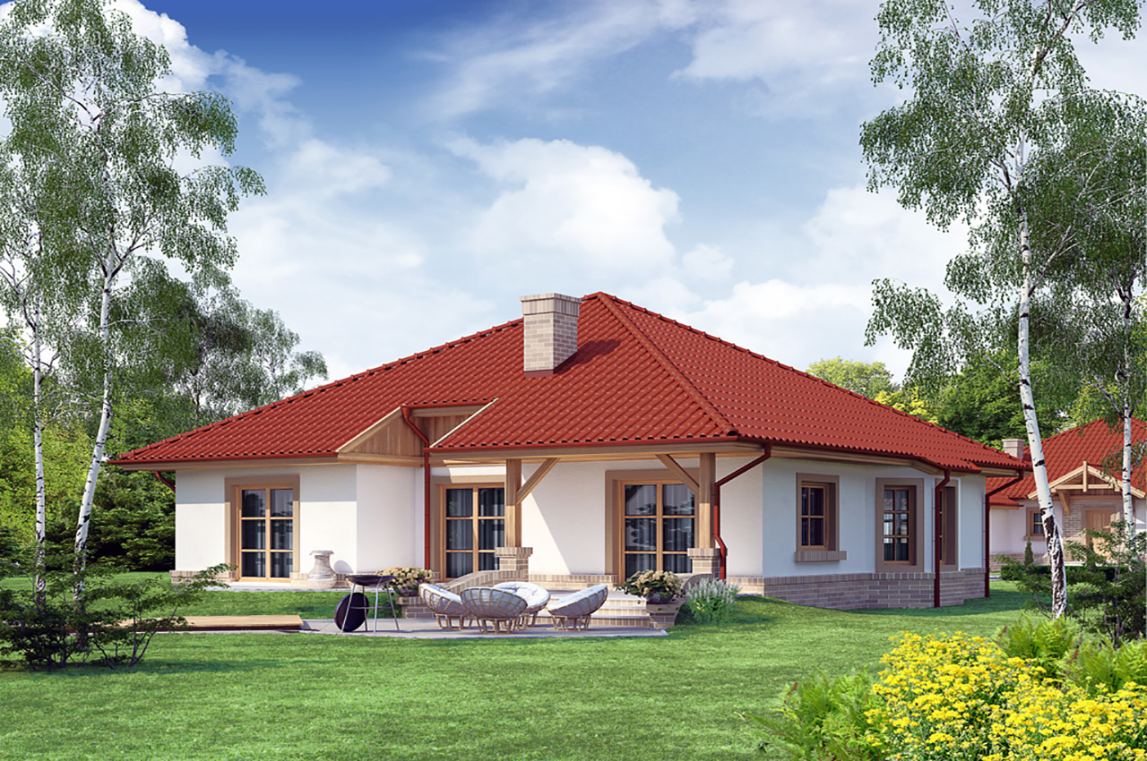 1636200226_49-na-dache-pro-p-novie-doma-odnoetazhnie-foto-54