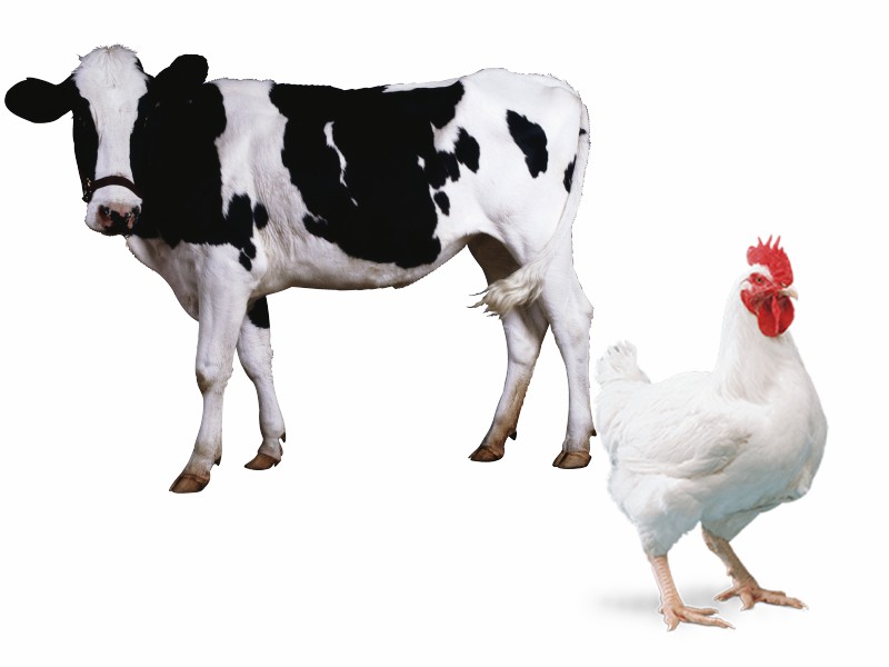 5kllklj2kljkl2jk3ljk3ljk