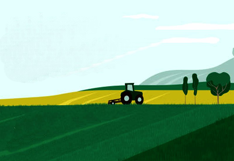 istockphoto-1199830302-612x612