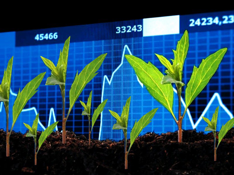 photo_2023-06-09_11-07-29