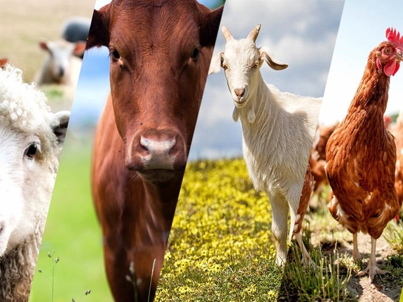 photo_2021-09-23_14-30-47--kopiya