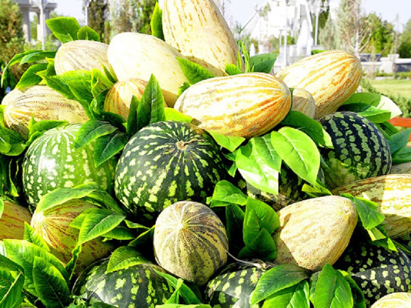 polizz_09_11_21_ichii