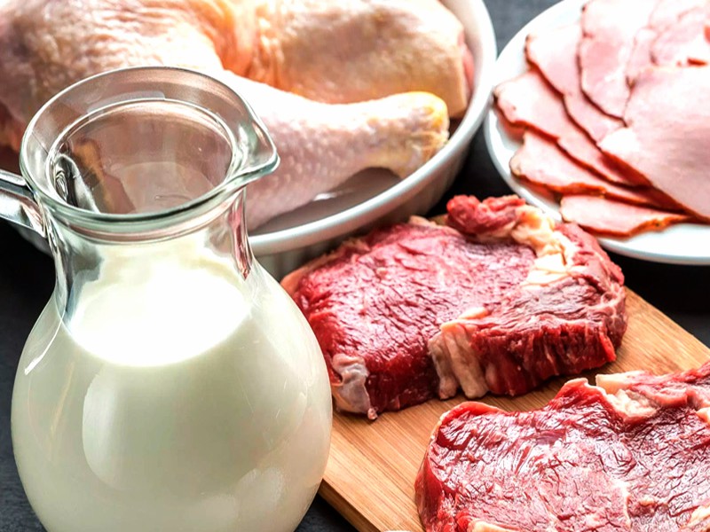 qurojatop_030222_ici