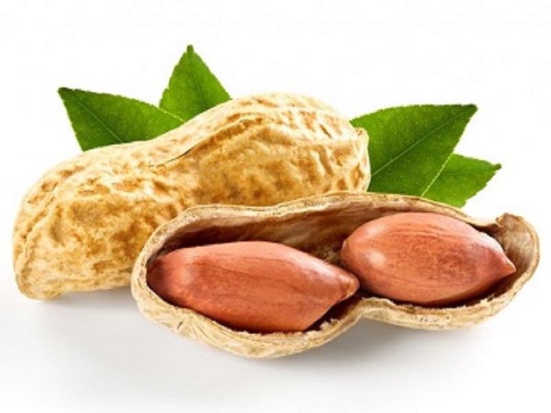 tashqi-savdo-ichii-14_12_2021--kopiya