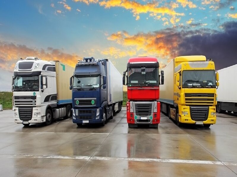 tipik_03_11_21_ichi0