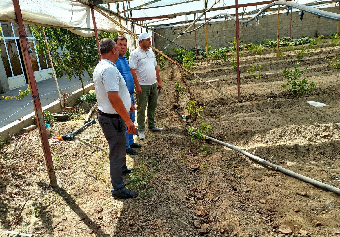 2-photo_2022-09-14_14-22-10
