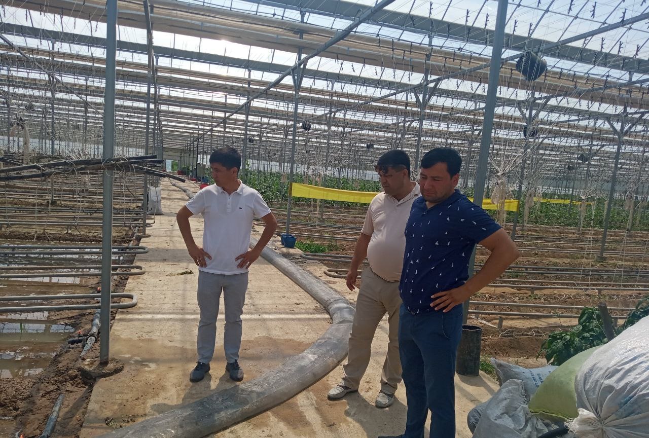 2_photo_2022-10-20_16-50-42